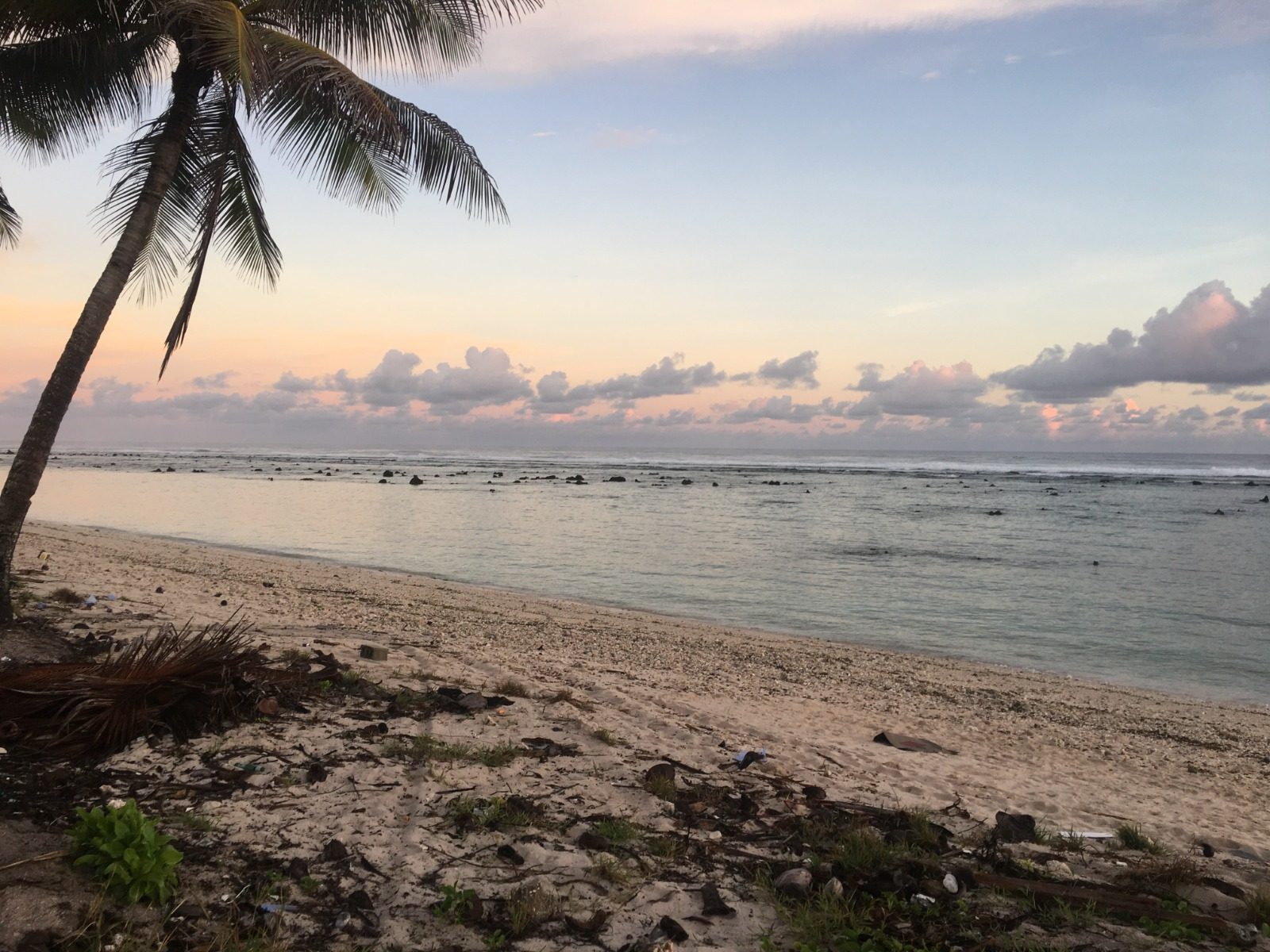 Palm tree and beach on Naoero at dusk, with the reef flat in the foreground